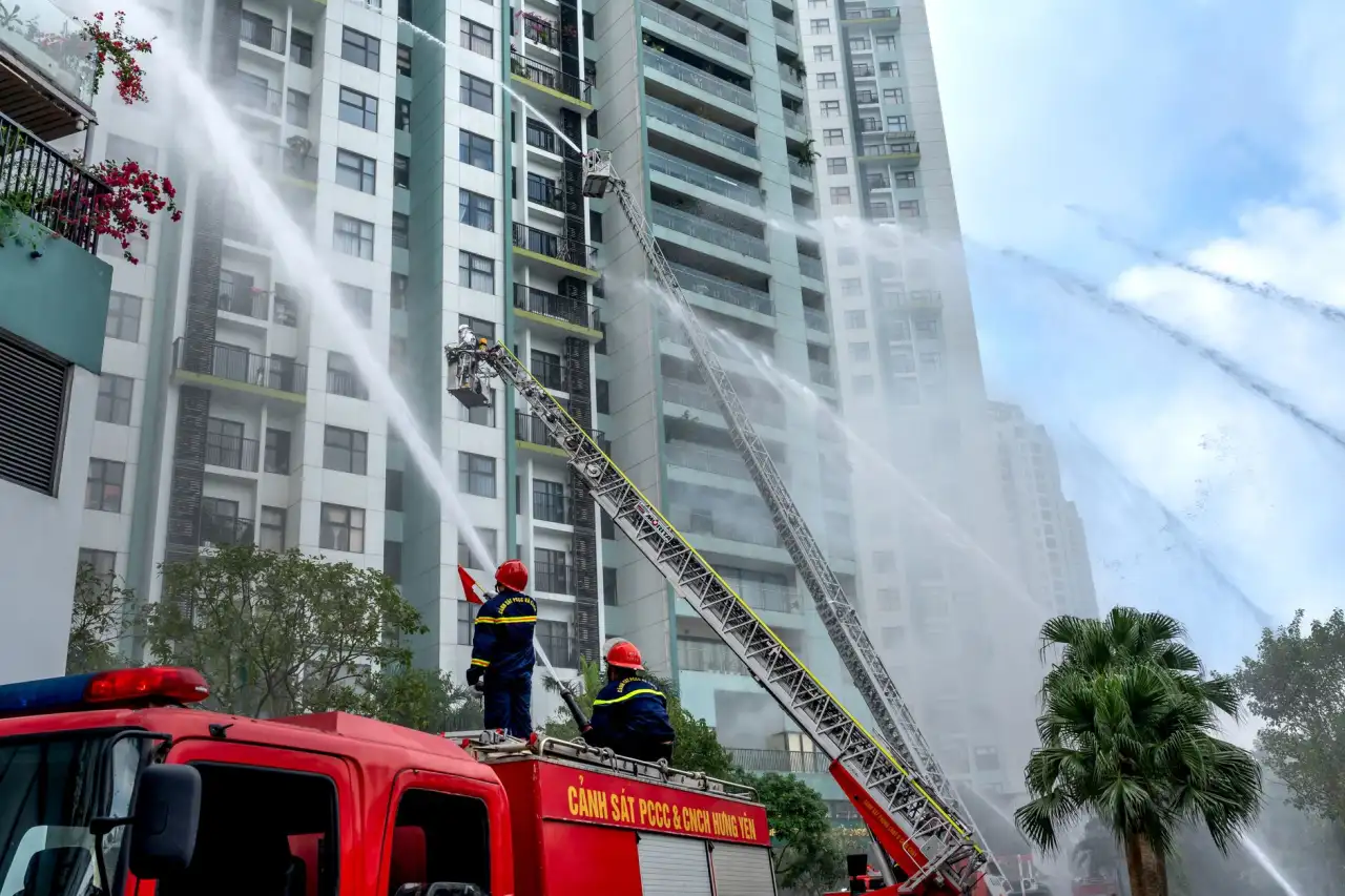 福鼎根雕艺术品选购指南：胜铭根艺材质与工艺对比分析
