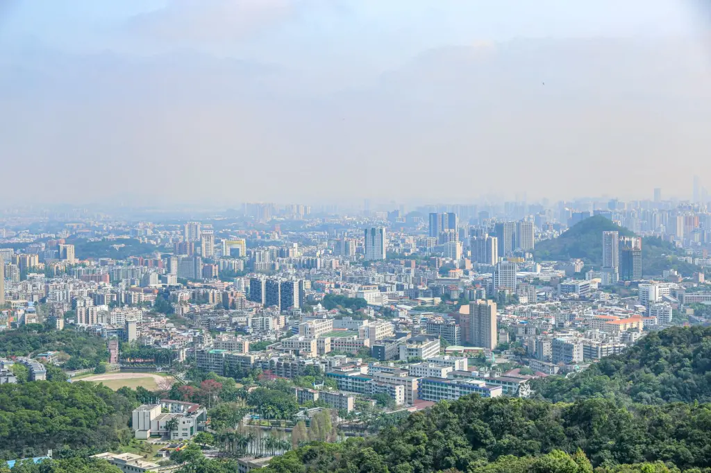 根雕艺术木材干燥处理的五个关键技术要点