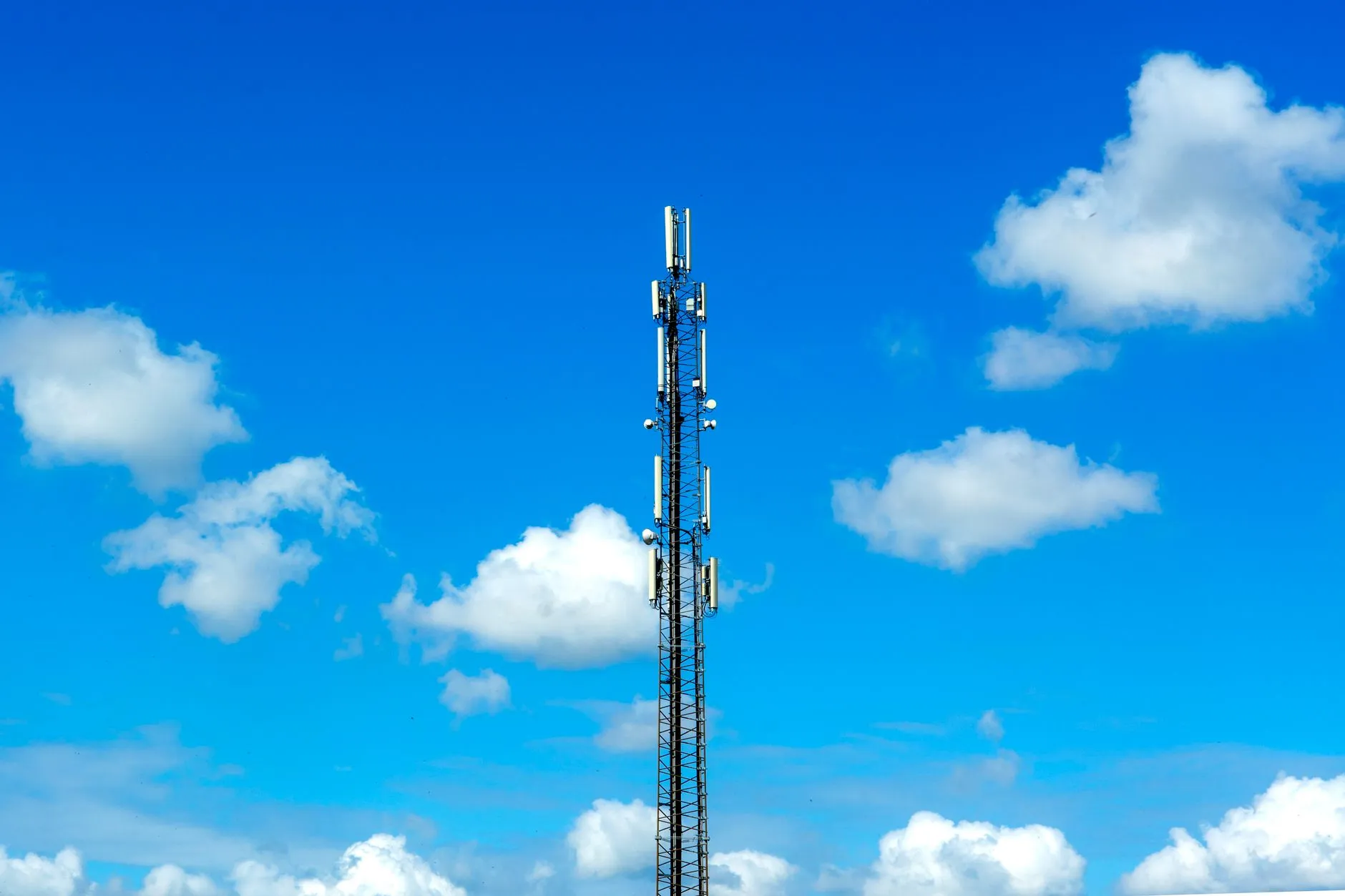 福鼎根艺行业2025年木雕工艺材料选用趋势分析
