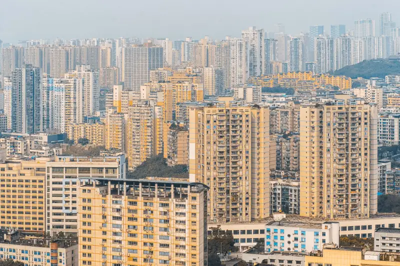 根雕材质选择与木雕工艺耐久性对比分析