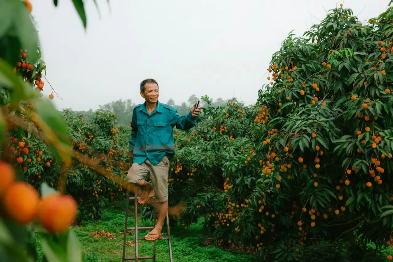 福鼎根雕艺术传承与创新：前岐胜铭根艺厂木雕工艺技术解析