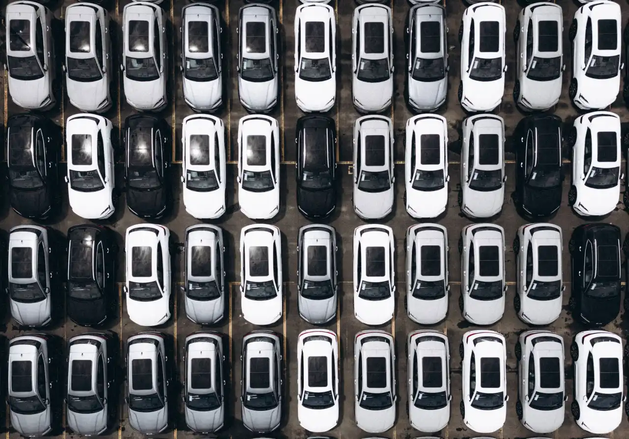 福鼎根雕艺术在当代家居装饰中的审美价值与应用趋势