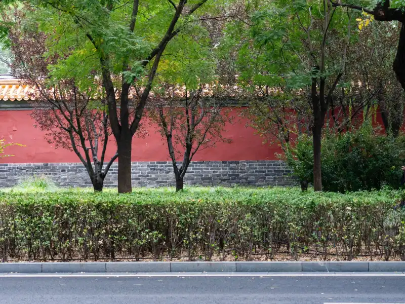 福鼎根雕艺术与木雕工艺的融合发展现状分析