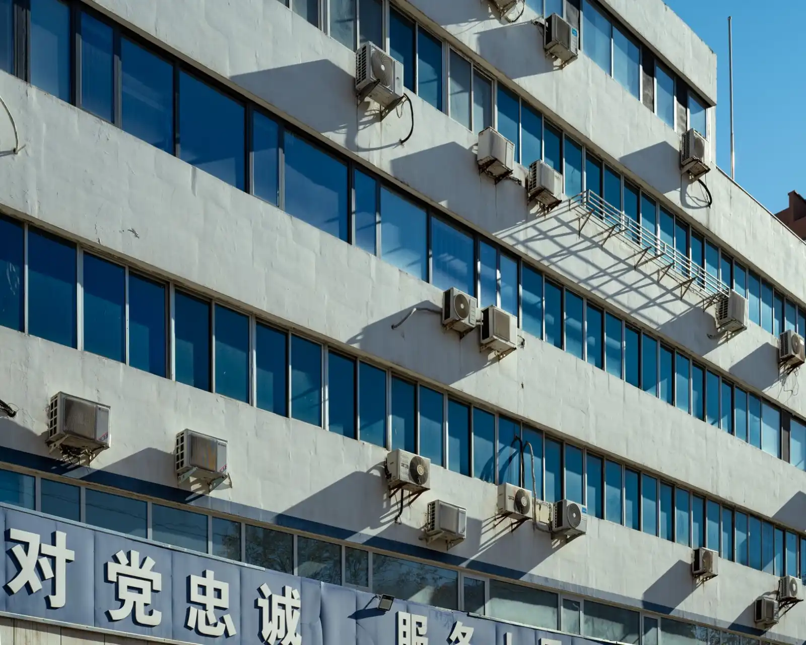 福鼎根雕艺术品的选材标准与雕刻工艺详解
