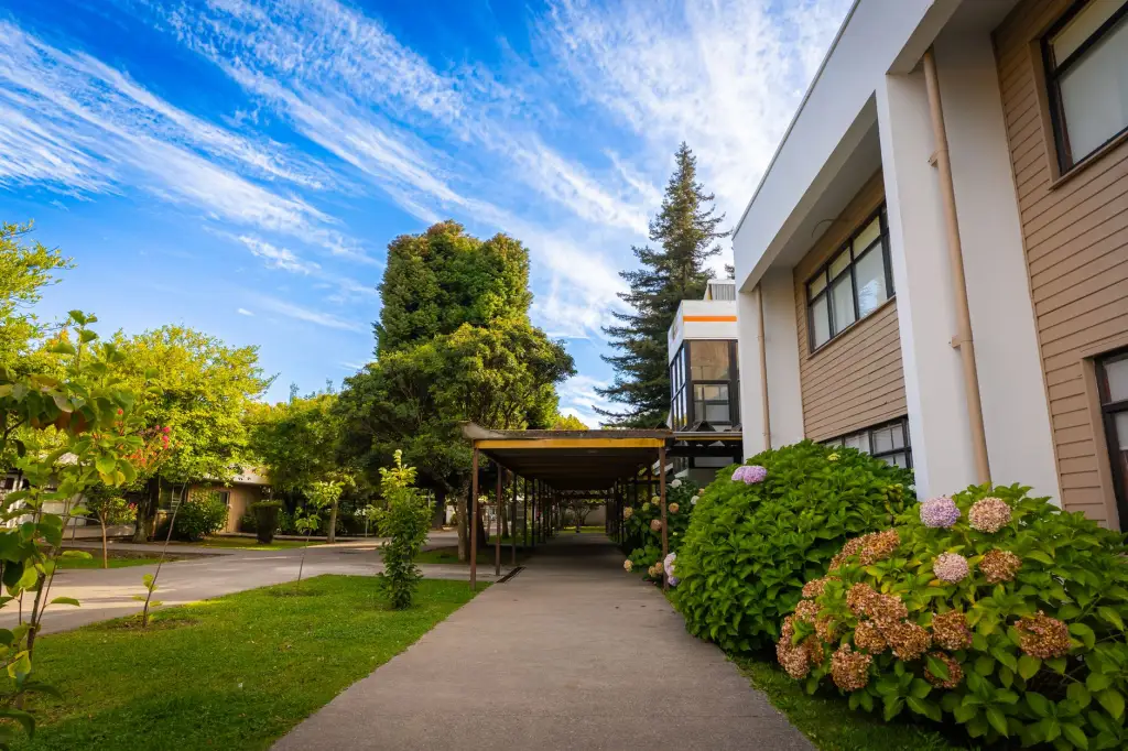 福鼎根雕艺术观察：传统木雕工艺在当代家居装饰中的创新应用趋势