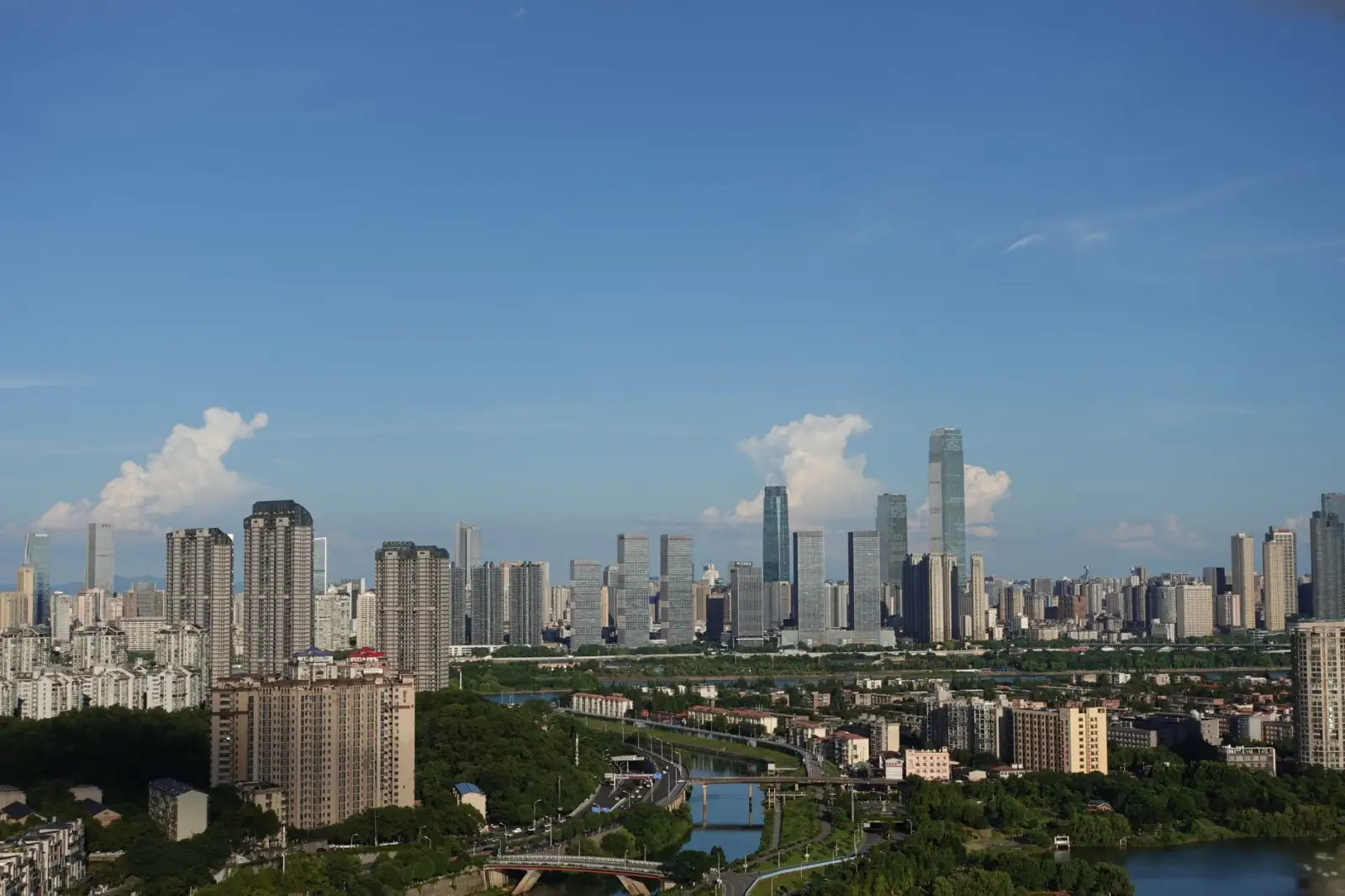 福鼎根雕艺术行业发展趋势与技术创新方向