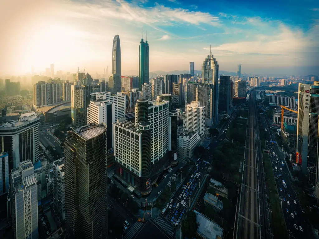 福鼎根雕与木雕工艺的材质选择对比分析