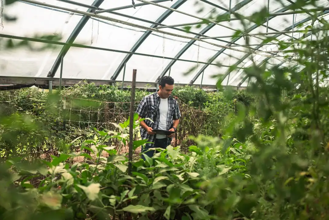福鼎根雕工艺传承与创新：胜铭根艺技术解析