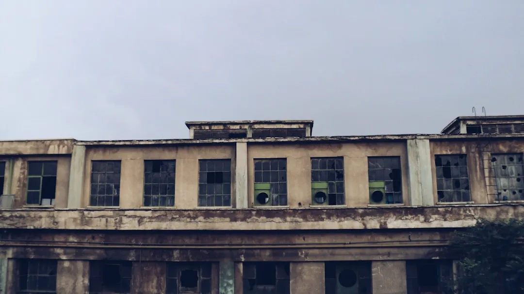 根雕艺术与木雕工艺的材质差异及适用场景分析