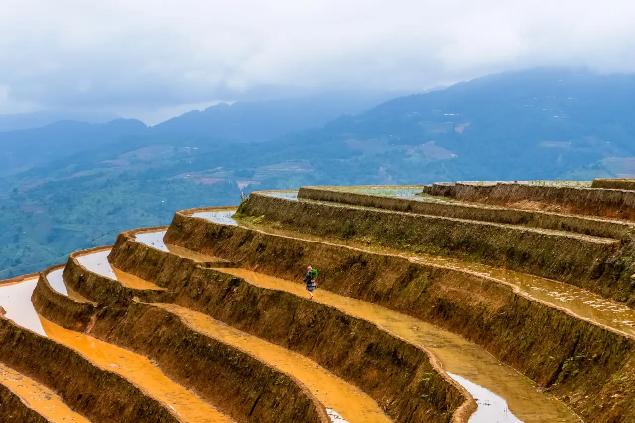 木雕工艺质量管控要点：从选材到成品的关键流程解析