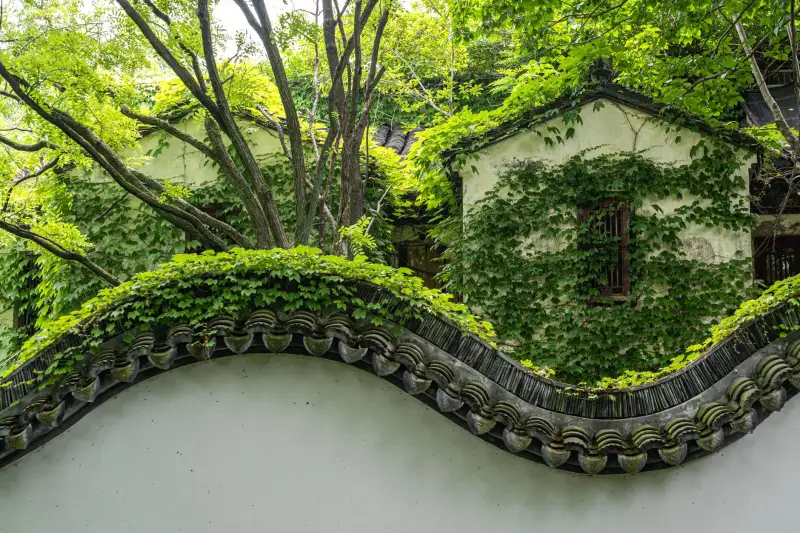 福鼎根雕艺术行业技术发展趋势及应用前景分析