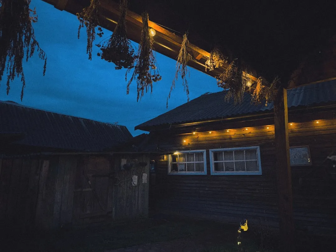 福鼎根雕艺术行业技术发展趋势及其在家居装饰中的应用前景