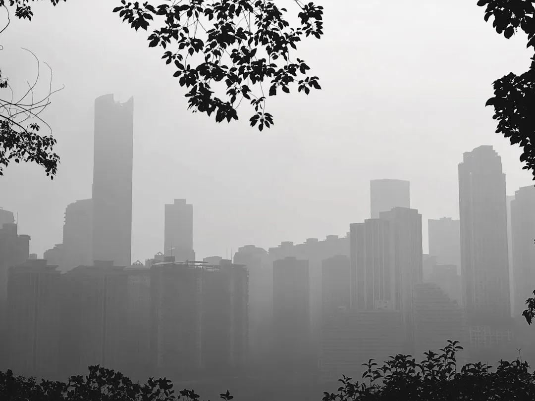 福鼎根雕工艺品选购指南：胜铭根艺木雕摆件材质与工艺对比