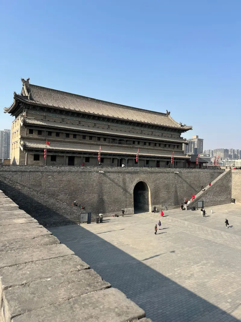 福鼎根雕艺术摆件选购指南：从材质到工艺的全面解析